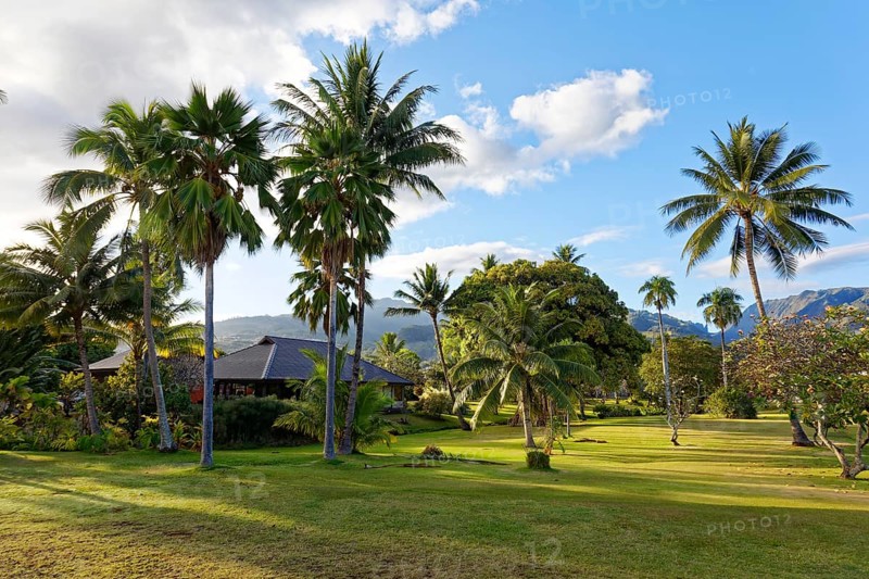 Reception, Building, Garden, Coconut palm (Cocos nucifera), Mountain, Evening sun, Royal, Tahitien Hotel, Pirae, Tahiti-Nui, Society Islands, Leeward Islands, French Polynesia, Tahiti, Oceania