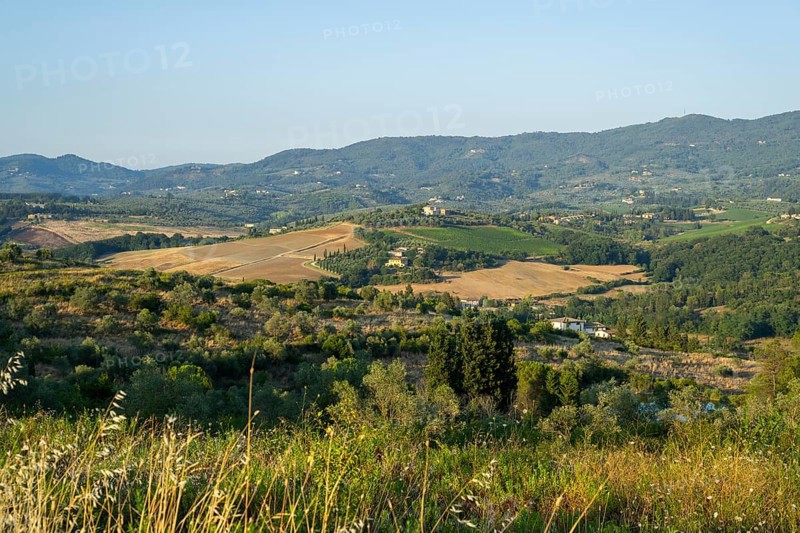 Tuscan landscape, country estate with vineyards, forests, olive trees and cypresses in Chianti, Chianti Region, Tuscany, Italy, Europe