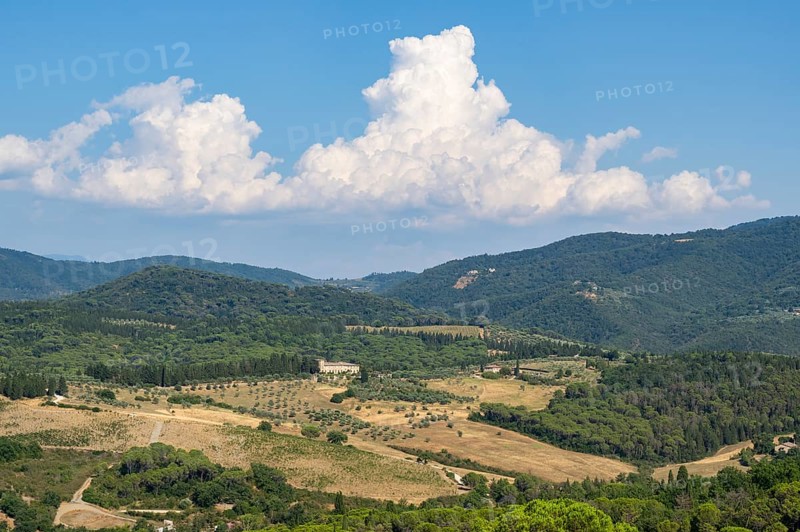 Tuscan landscape, country estate with vineyards, forests, olive trees and cypresses in Chianti, Chianti Region, Tuscany, Italy, Europe