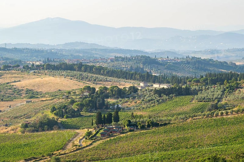 Tuscan landscape, country estate with vineyards, forests, olive trees and cypresses in Chianti, Chianti Region, Tuscany, Italy, Europe
