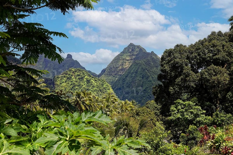 View into the Fautaua Valley, landscape, tropical, vegetation, lush, dense, mountain, mountainous, near Taurita, Tahiti-Iti, Tahiti, Society Islands, Leeward Islands, French Polynesia, Oceania