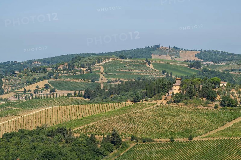 Tuscan landscape, country estate with vineyards, forests, olive trees and cypresses in Chianti, Chianti Region, Tuscany, Italy, Europe