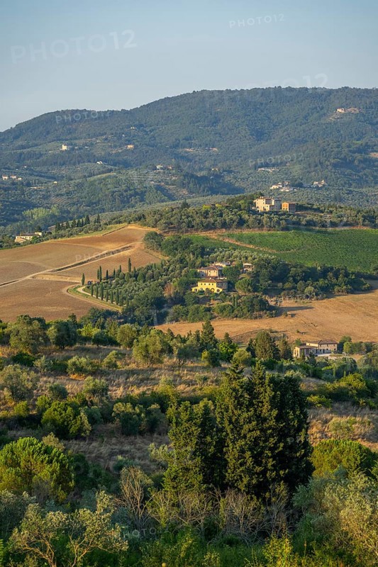 Tuscan landscape, country estate with vineyards, forests, olive trees and cypresses in Chianti, Chianti Region, Tuscany, Italy, Europe