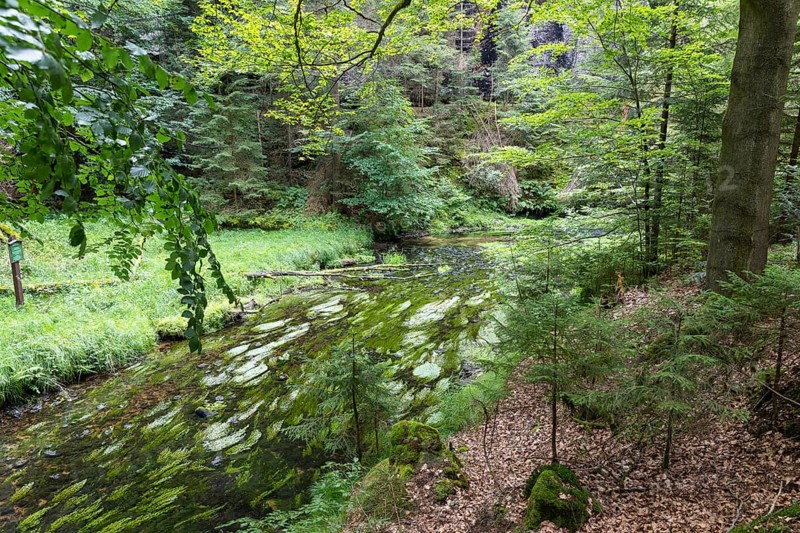 Kirnitzsch in the Kirnitzsch Valley, Sebnitz, Saxon Switzerland, Saxony, Germany, Europe