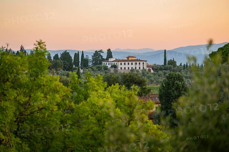Tuscan landscape at sunrise, country estate with a farm house, vineyards, forests, olive trees and cypresses in Chianti, Chianti Region, Tuscany, Italy, Europe