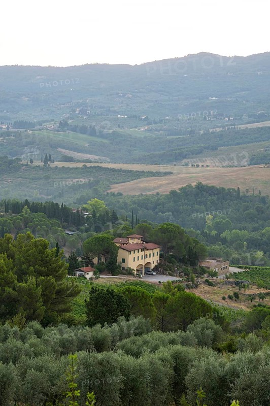 Tuscan landscape at sunrise, country estate with a farm house, vineyards, forests, olive trees and cypresses in Chianti, Chianti Region, Tuscany, Italy, Europe