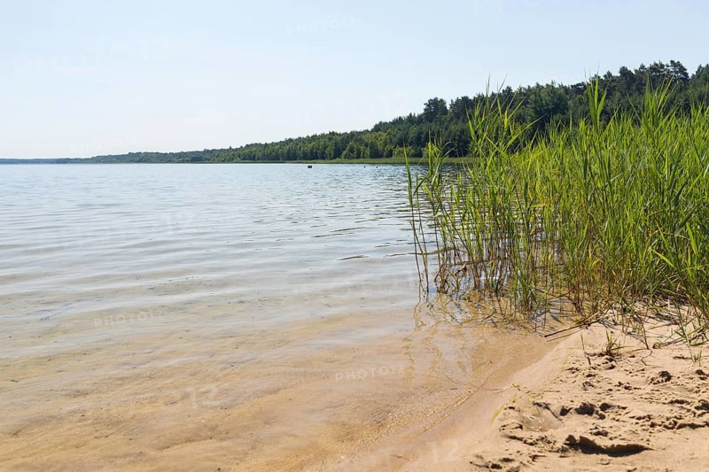 On the shore of the Scheibe-See, open-cast mining pit, which is now open for swimming, Hoyerswerda, Saxony, Germany, Europe