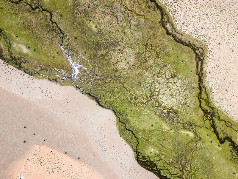 Rio Punilla, Los Nacimientos, Catamarca Province, Argentina, Aerial view of a desert landscape with green patches and intricate textures, South America, Aerial view of green and sandy textures creating an abstract desert landscape, South America, Argentina, South America