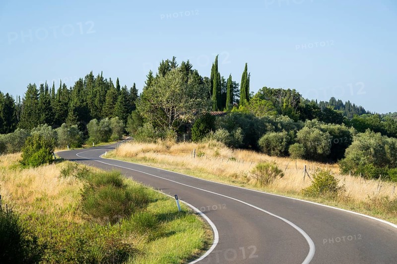 View of a strees in the tuscan landscape, country estate in Chianti, Chianti Region, Tuscany, Italy, Europe
