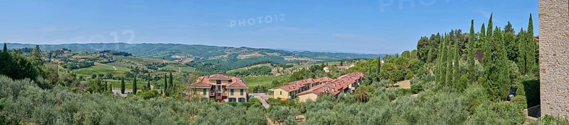 Tuscan landscape, country estate with vineyards, forests, olive trees and cypresses in Chianti, Chianti Region, Tuscany, Italy, Europe
