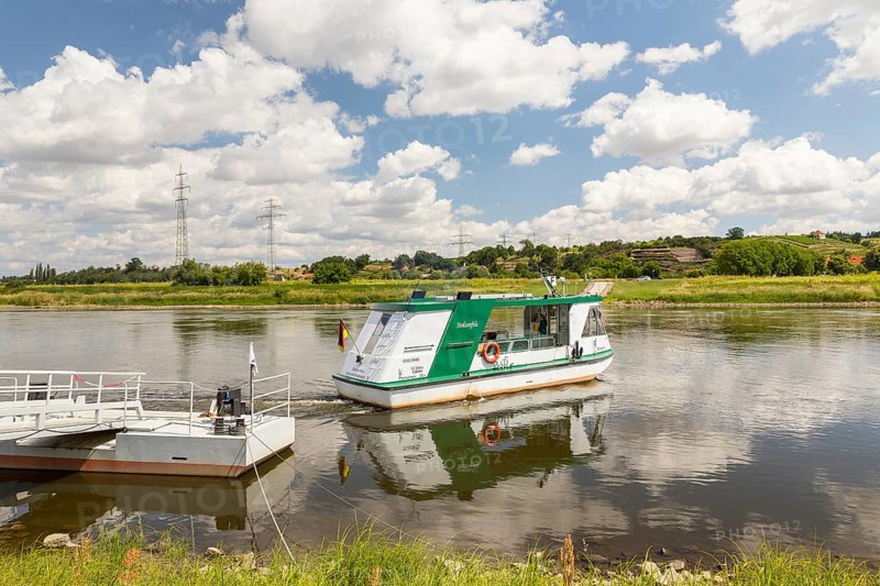 Ferryboat Stolzenfels on the Elbe crossing from Niederlommatzsch to Diesbar-Seußlitz, Saxon Elbland, Saxony, Germany, Europe