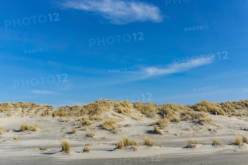 The East Frisian North Sea island of Juist in winter, dunes on the western part of the island, at Billriff, Lower Saxony, Germany, Europe