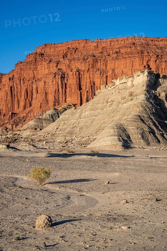 Ischigualasto Provincial Park, Villa San Agustín, San Juan Province, Argentina, South America