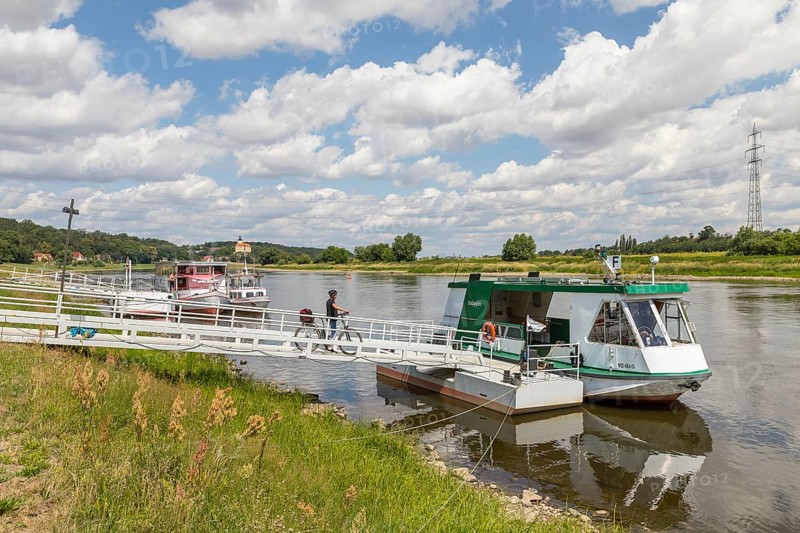 Elbe ferry Niederlommatzsch - Diesbar-Seußlitz, ferry boat Stolzenfels on the Elbe at the Niederlommatzsch ferry landing stage, Althirschstein Castle in the background, Diera-Zehren, Saxony, Germany, Europe