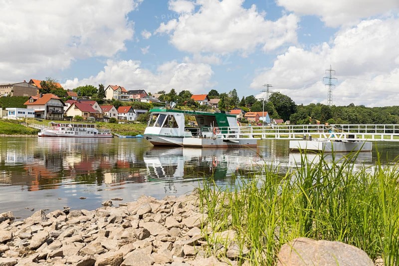 Ferryboat Stolzenfels at the pier in Diesbar-Seußlitz on the banks of the Elbe, in the background the village of Niederlommatzsch, Saxon Elbland, Saxony, Germany, Europe