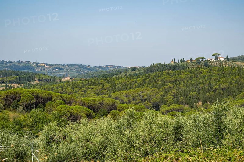 Tuscan landscape, country estate with a farm house, olive trees and forests in Chianti, Chianti Region, Tuscany, Italy, Europe