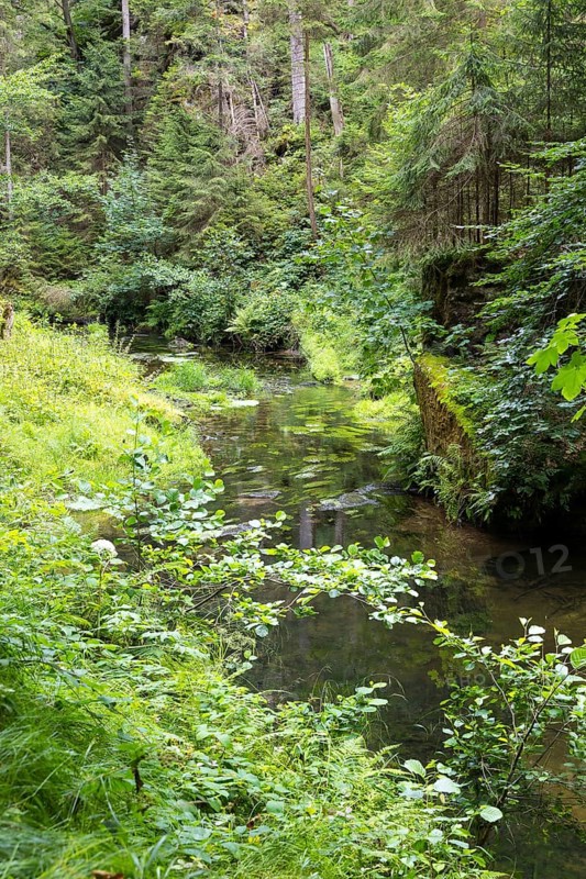 Kirnitzsch in the Kirnitzsch Valley, Sebnitz, Saxon Switzerland, Saxony, Germany, Europe