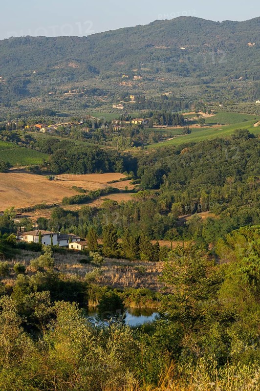 Tuscan landscape, country estate with vineyards, forests, olive trees and cypresses in Chianti, Chianti Region, Tuscany, Italy, Europe