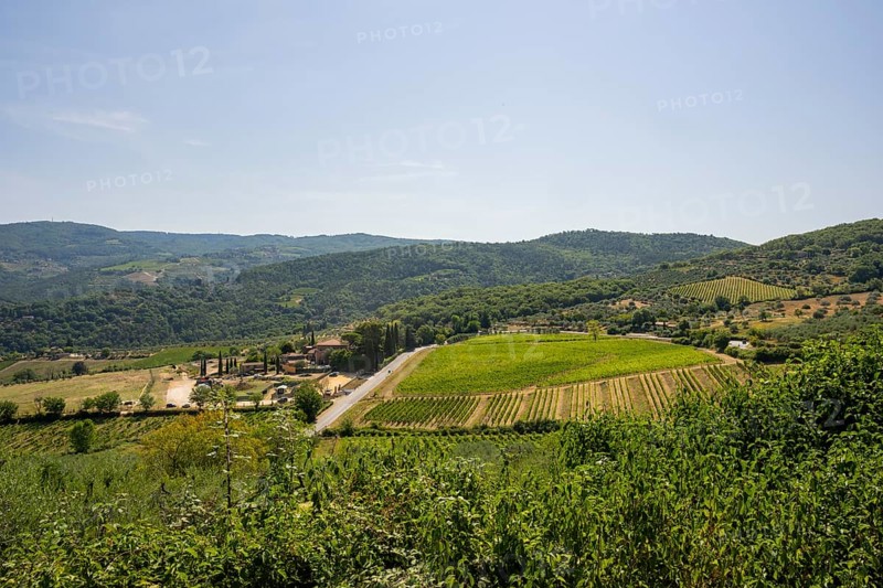 Tuscan landscape, country estate with vineyards, forests, olive trees and cypresses in Chianti, Chianti Region, Tuscany, Italy, Europe