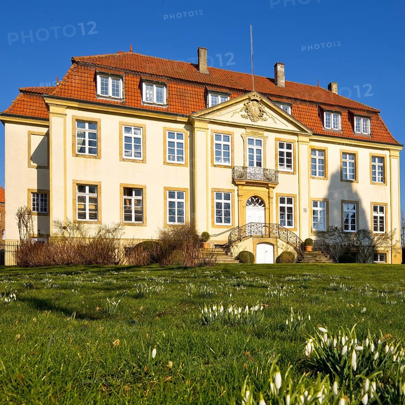 Freckenhorst Castle with snowdrops (Galanthus), Warendorf, Münsterland, North Rhine-Westphalia, Germany, Europe