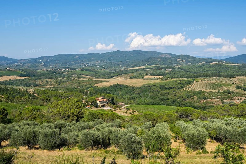 Tuscan landscape, country estate with vineyards, forests, olive trees and cypresses in Chianti, Chianti Region, Tuscany, Italy, Europe
