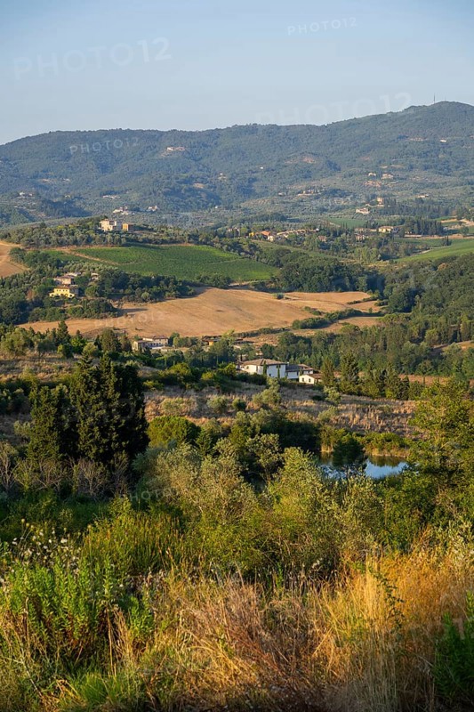 Tuscan landscape, country estate with vineyards, forests, olive trees and cypresses in Chianti, Chianti Region, Tuscany, Italy, Europe