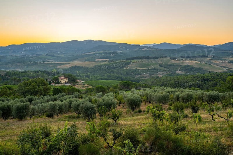Tuscan landscape at sunrise, country estate with vineyards, forests, olive trees and cypresses in Chianti, Chianti Region, Tuscany, Italy, Europe