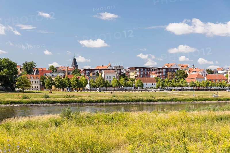 City view over the Elbe with Trinitatis Church, Riesa, Saxony, Germany, Europe