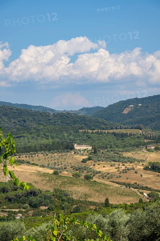 Tuscan landscape, country estate with vineyards, forests, olive trees and cypresses in Chianti, Chianti Region, Tuscany, Italy, Europe