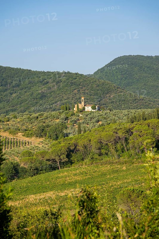 Tuscan landscape, country estate with vineyards, forests, olive trees and cypresses in Chianti, Chianti Region, Tuscany, Italy, Europe