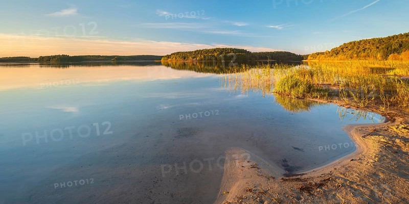 Lake Fürstensee, beach with reeds in the evening light, Müritz National Park, Fürstensee, Mecklenburg-Western Pomerania, Germany, Europe