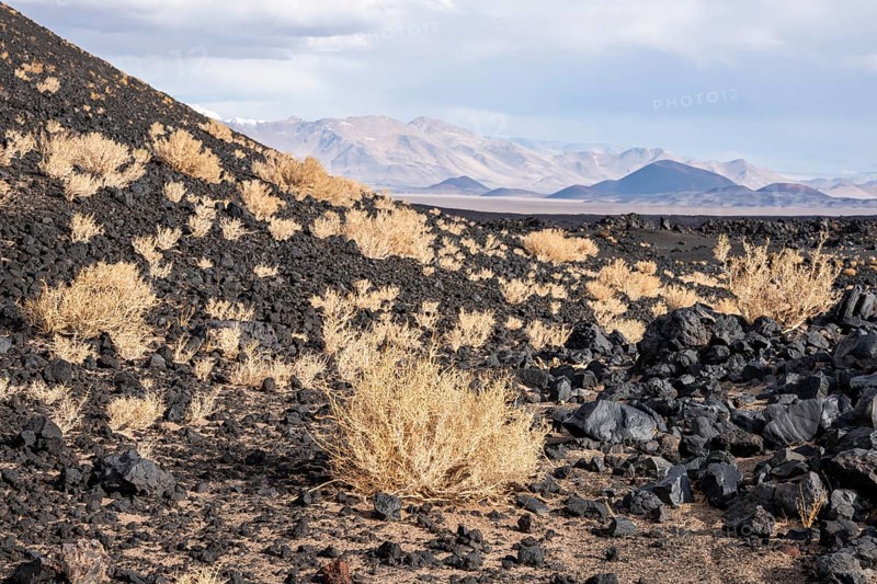 Barren desert landscape with scattered vegetation and volcanic rocks in the foreground, Argentina, volcanoes, lava field, Antofagasta, South America