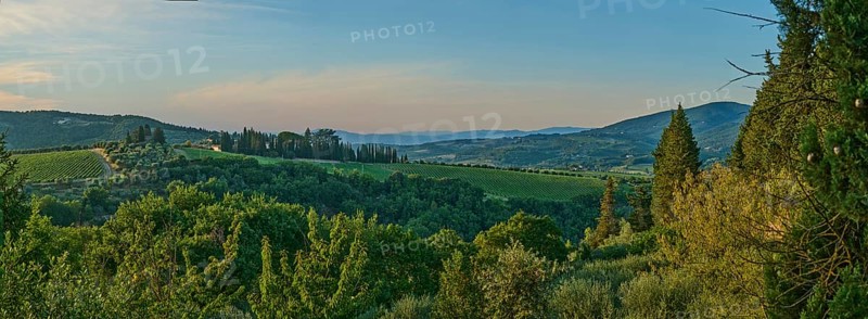 Tuscan landscape next to greve in Chianti and Montefioralle, country estate with vineyards, forests, olive trees and cypresses in Chianti, sunset, Chianti Region, Tuscany, Italy, Europe
