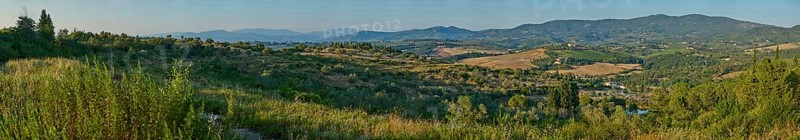 Tuscan landscape, country estate with vineyards, forests, olive trees and cypresses in Chianti, Chianti Region, Tuscany, Italy, Europe