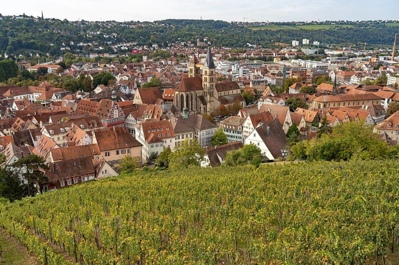 View over a vineyard to Esslingen with the parish church of St Dionys Esslingen am Neckar, Baden-Württemberg, Germany, Europe
