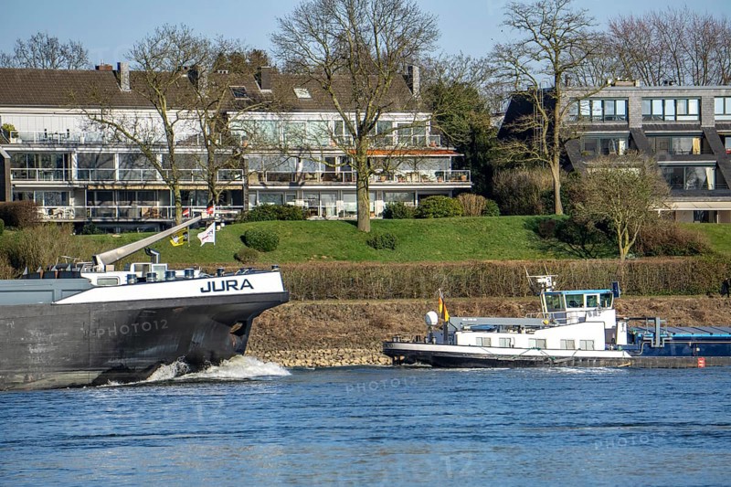 Cargo ship on the Rhine near Düsseldorf-Bockum, villas on the banks of the Rhine, the neighbourhood in district 5 is one of the most expensive residential areas in Düsseldorf, North Rhine-Westphalia, Germany, Europe