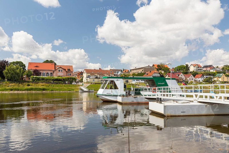 Ferryboat Stolzenfels at the pier in Diesbar-Seußlitz on the banks of the Elbe, in the background the village of Niederlommatzsch, Saxon Elbland, Saxony, Germany, Europe