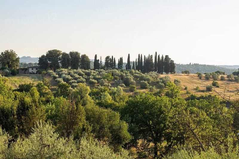 Tuscan landscape, country estate with, olive trees and cypresses in Chianti, Chianti Region, Tuscany, Italy, Europe