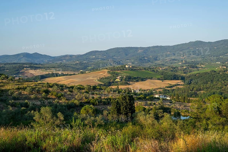 Tuscan landscape, country estate with vineyards, forests, olive trees and cypresses in Chianti, Chianti Region, Tuscany, Italy, Europe