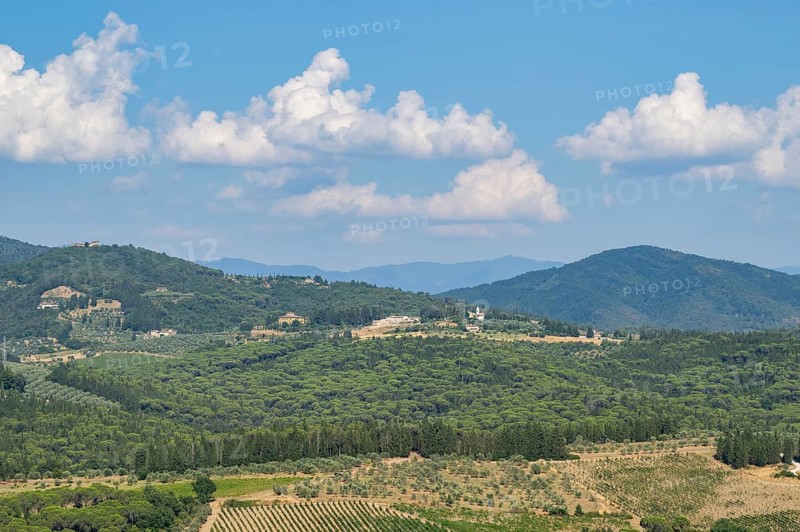 Tuscan landscape, country estate with vineyards, forests, olive trees and cypresses in Chianti, Chianti Region, Tuscany, Italy, Europe