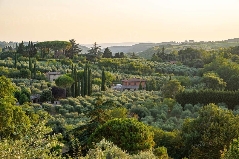 Hilly landscape in Tuscany, view from the upper city wall of Montepulciano, Tuscany, Italy, Europe