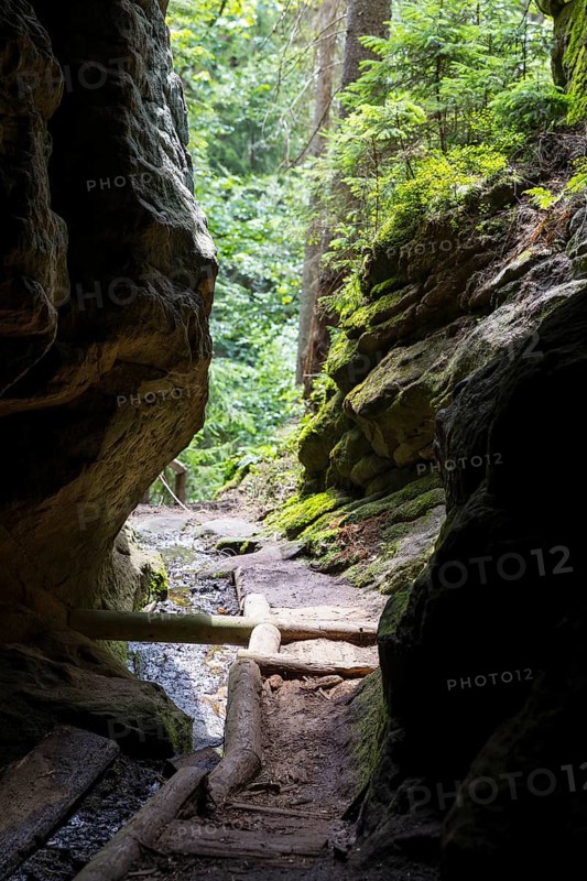 Hiking trail in the Kirnitzschklamm gorge, Sebnitz, Saxon Switzerland, Saxony, Germany, Europe