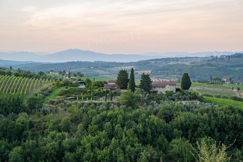 Tuscan landscape next to greve in Chianti and Montefioralle, country estate with vineyards, forests, olive trees and cypresses in Chianti, sunset, Chianti Region, Tuscany, Italy, Europe