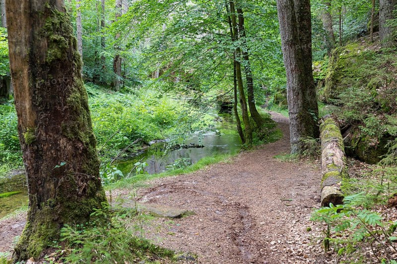 Hiking trail along the Kirnitzsch river in the Kirnitzschtal valley, Sebnitz, Saxon Switzerland, Saxony, Germany, Europe