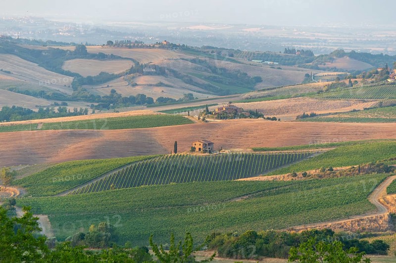 Hilly landscape in Tuscany, view from the upper city wall of Montepulciano, Tuscany, Italy, Europe