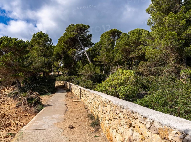 Landscape and coastal area in the north of Majorca, Cala Rajada, Balearic Islands, . Spain