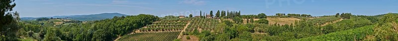 Tuscan landscape, country estate with vineyards, forests, olive trees and cypresses in Chianti, Chianti Region, Tuscany, Italy, Europe