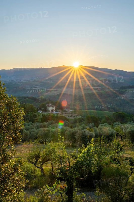 Tuscan landscape at sunrise, country estate with vineyards, forests, olive trees and cypresses in Chianti, Chianti Region, Tuscany, Italy, Europe
