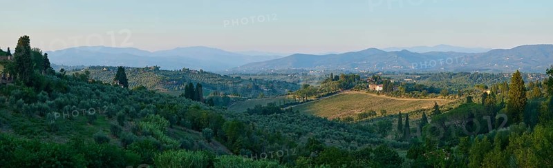 Tuscan landscape at sunrise, country estate with vineyards, forests amd olive trees in Chianti, Chianti Region, Tuscany, Italy, Europe