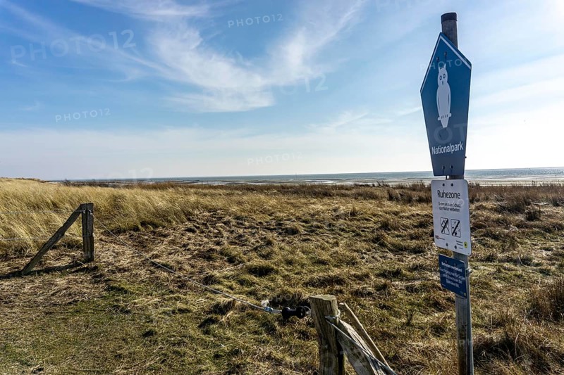 The East Frisian North Sea island of Juist in winter, marsh meadows in the west of the island, quiet zone in the national park, Lower Saxony, Germany, Europe